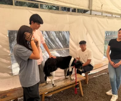 Aprender a cuidar: una jornada de primeros auxilios en mascotas que transforma el aprendizaje